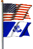 American & Auxiliary Flag